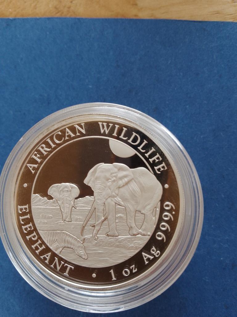 Somalische olifant 2026 1 oz zilver, Ophalen of Verzenden, Zilver