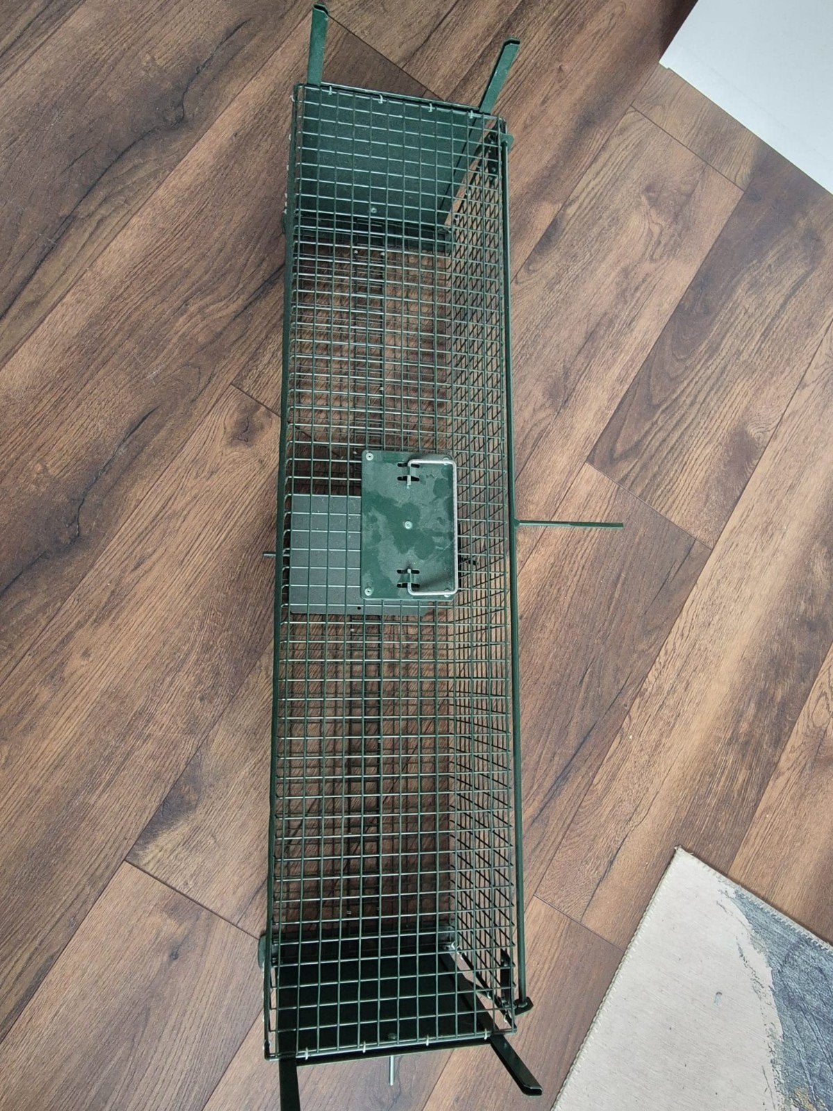 Grote vangkooi voor o.a. katten, Dieren en Toebehoren, Ophalen, Zo goed als nieuw
