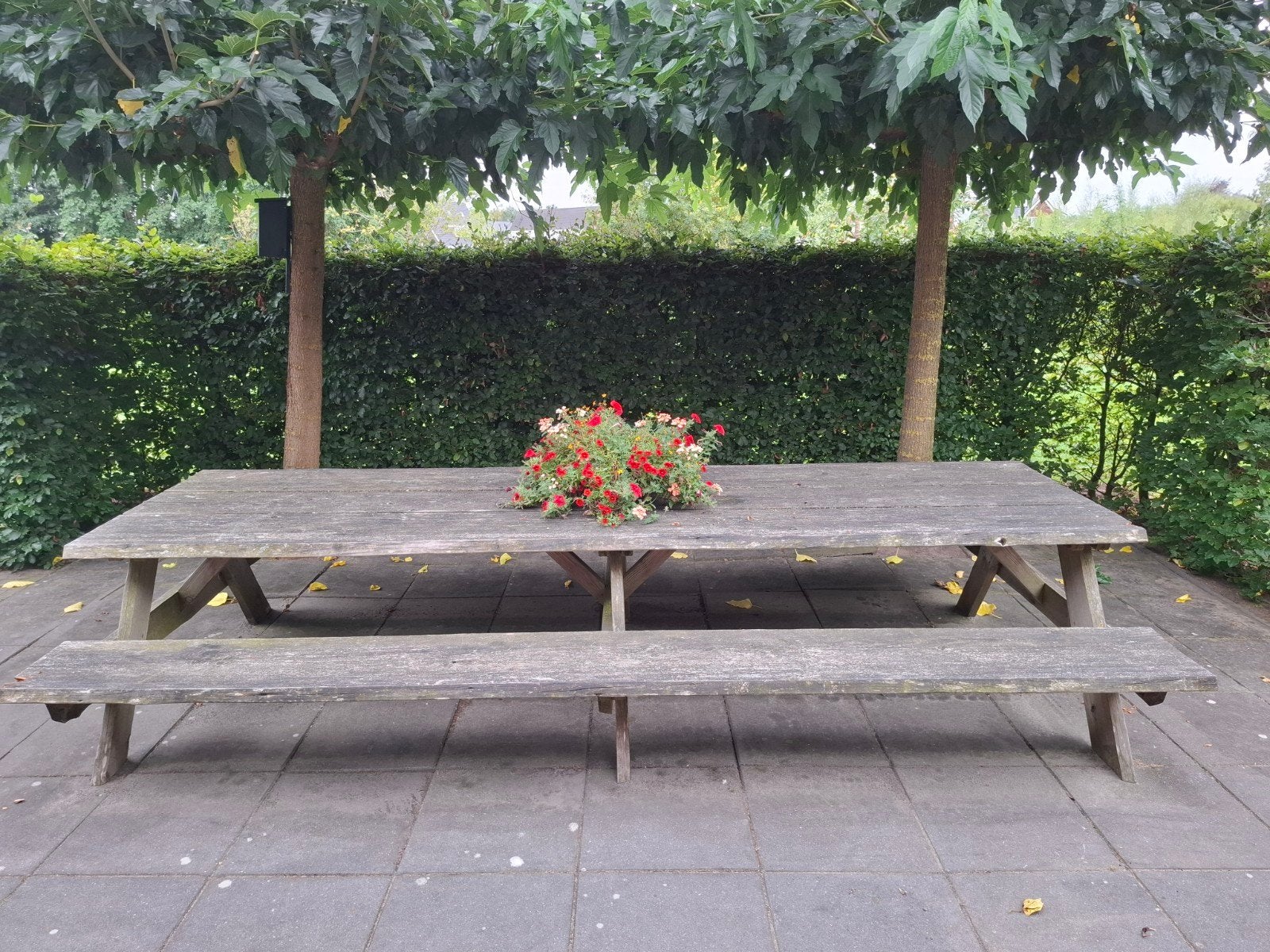 Picknicktafel groot van douglas, Tuin en Terras, Picknicktafels, Ophalen, Gebruikt, Rechthoekig, Hout