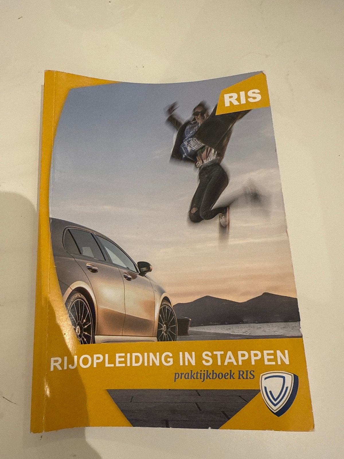 Rijopleiding in Stappen Praktijkboek RIS B-rijbewijs, Boeken, Ophalen of Verzenden, Gelezen, Overige niveaus
