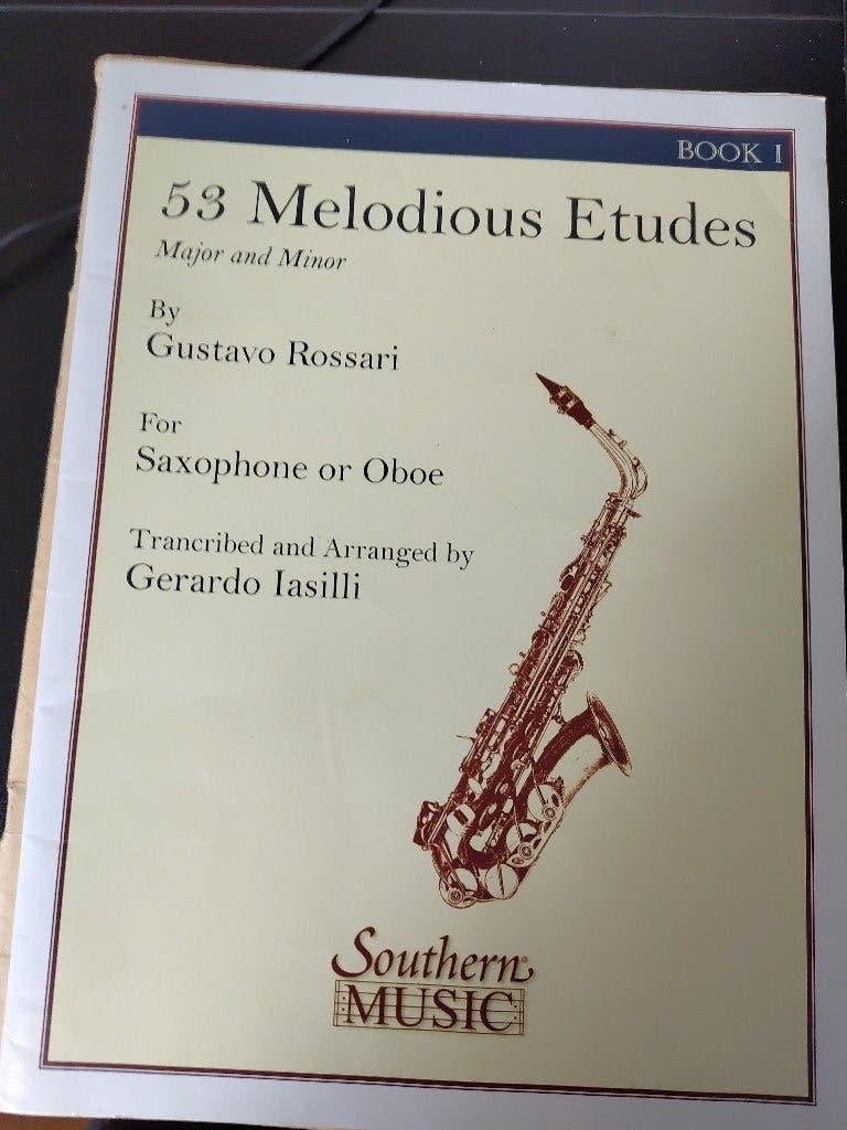 53 Melodieuze Etudes voor Saxofoon of Hobo - Boek 1, Gebruikt, Klassiek, Les of Cursus, Ophalen of Verzenden
