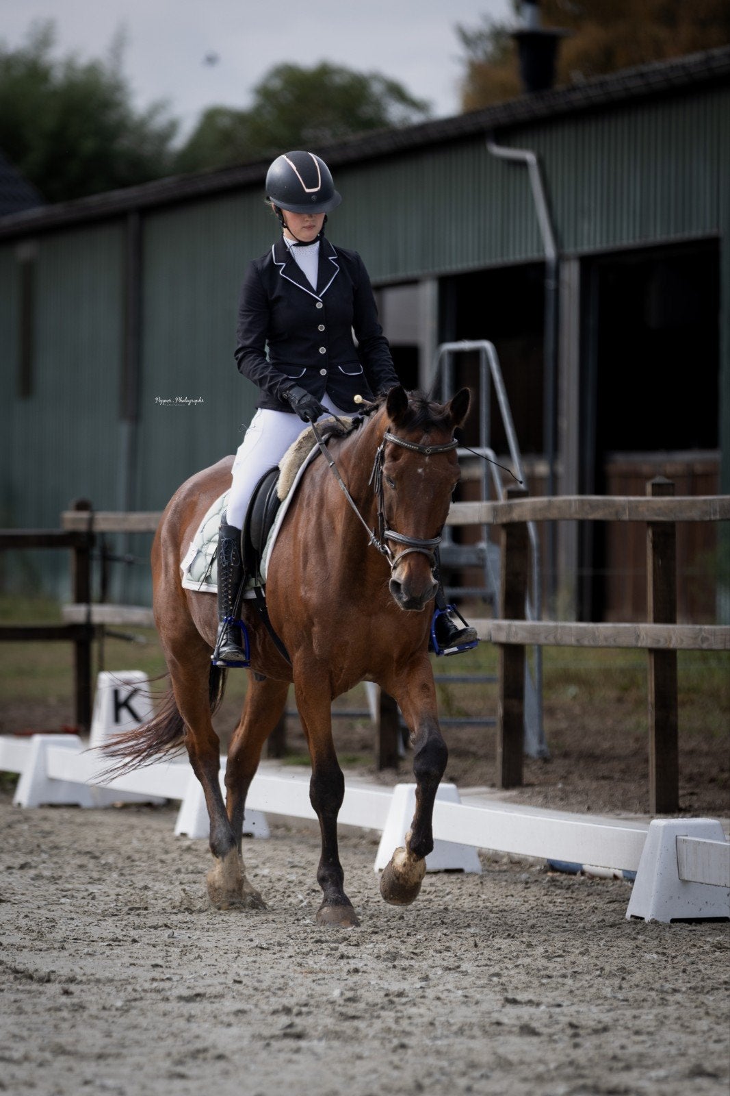 Gezocht: Bijrijdpaard/-pony omgeving Etten-Leur/Breda
