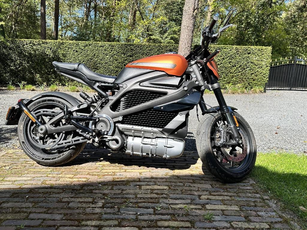 Harley Davidson LiveWire 2021 6900 km, Traction Control, Occasion, Motorrijbewijs A, Particulier