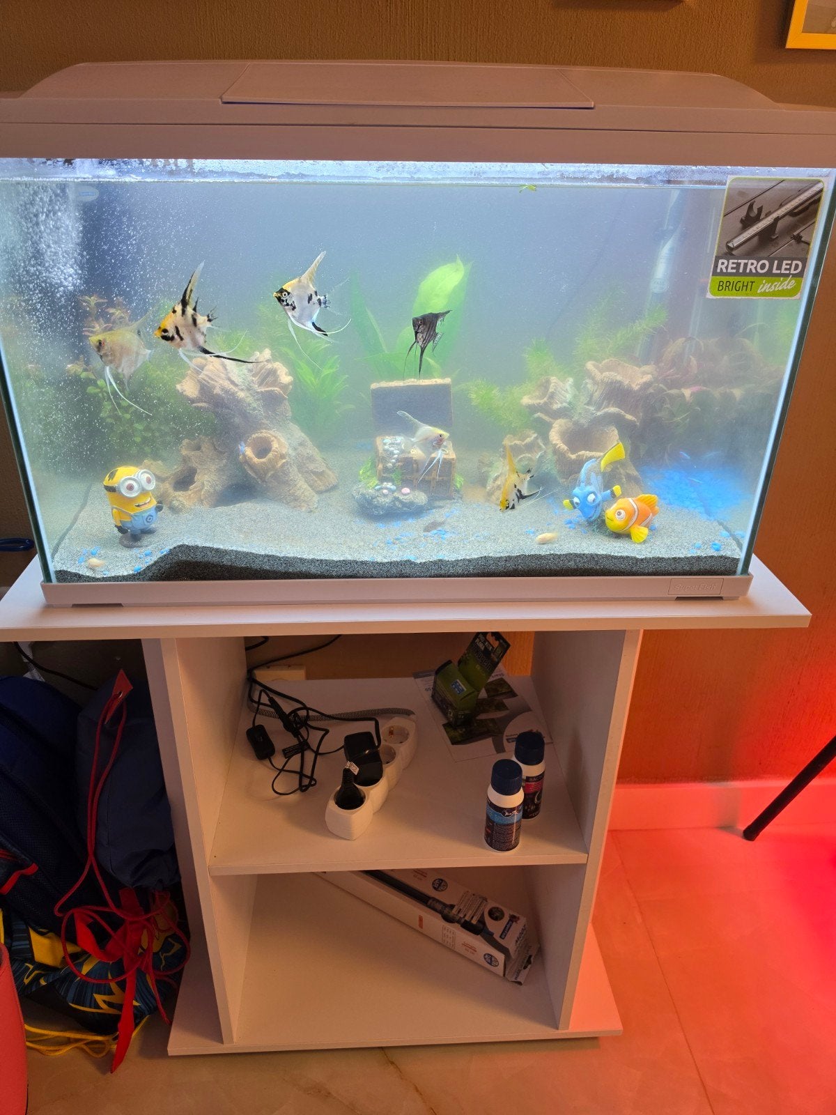 aquarium 90 liter, Ophalen of Verzenden, Zo goed als nieuw, Gevuld zoetwateraquarium