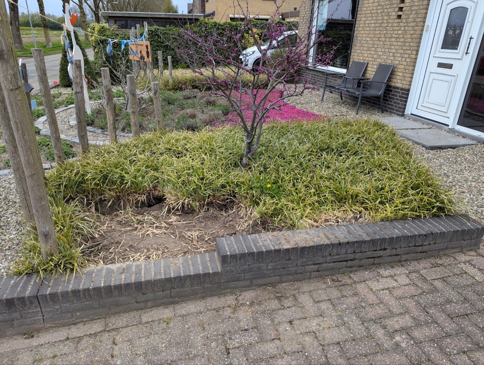 Siergrassen bodembedekker, Ophalen, Siergrassen, Halfschaduw
