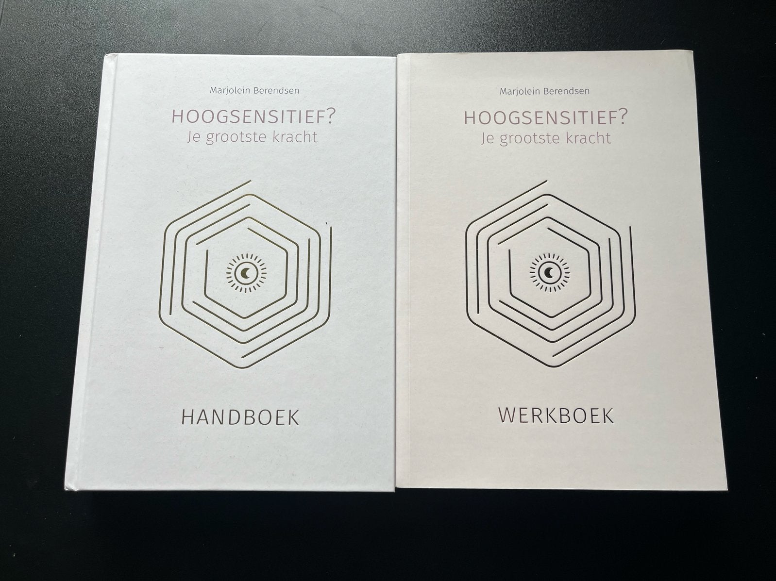 Hoogsensitief? Je grootste kracht - Handboek & Werkboek, Ophalen of Verzenden, Gamma, Nieuw, Overige niveaus