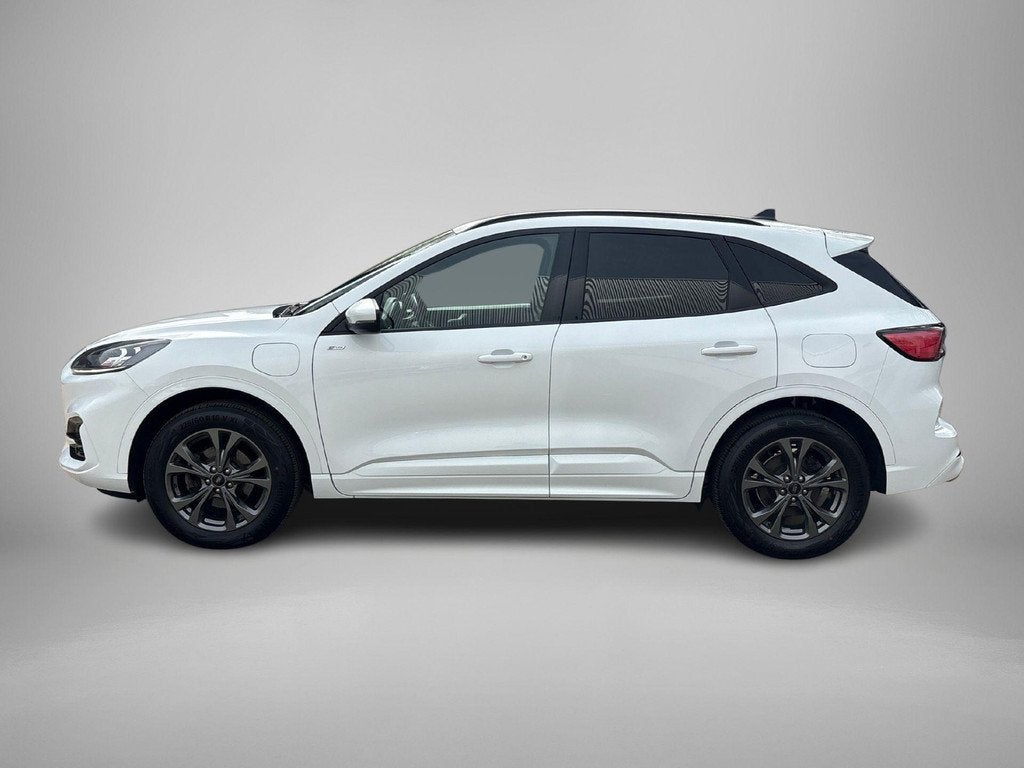 Ford Kuga 2.5 PHEV ST- Line X Elektr. Stoel | Cruise | B&O |, Auto's, Ford, 12 maanden, 14 kWh, Gebruikt, Euro 6
