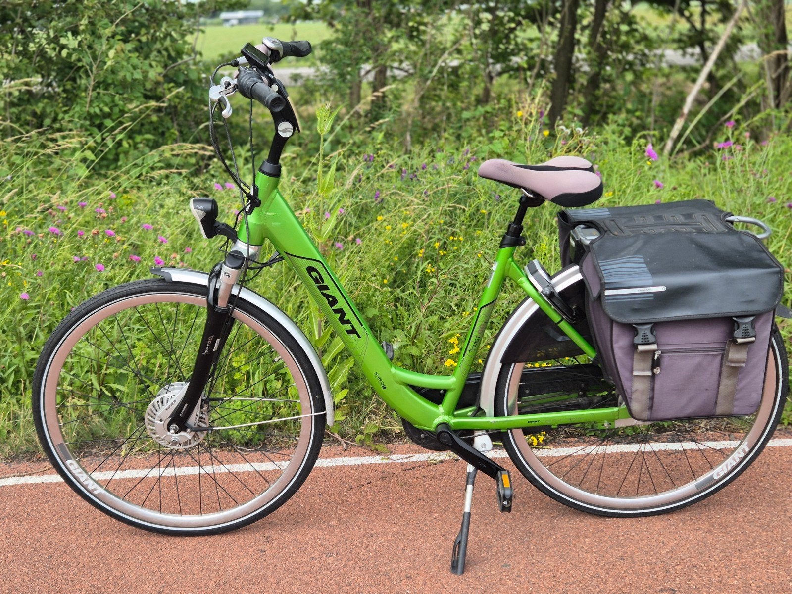 Giant twist go elektrische fiets met dubbele accu, Ophalen of Verzenden, Gebruikt, Overige merken