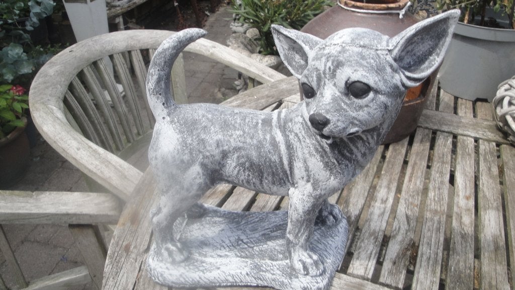 shiwawa hond beton, Ophalen of Verzenden, Nieuw