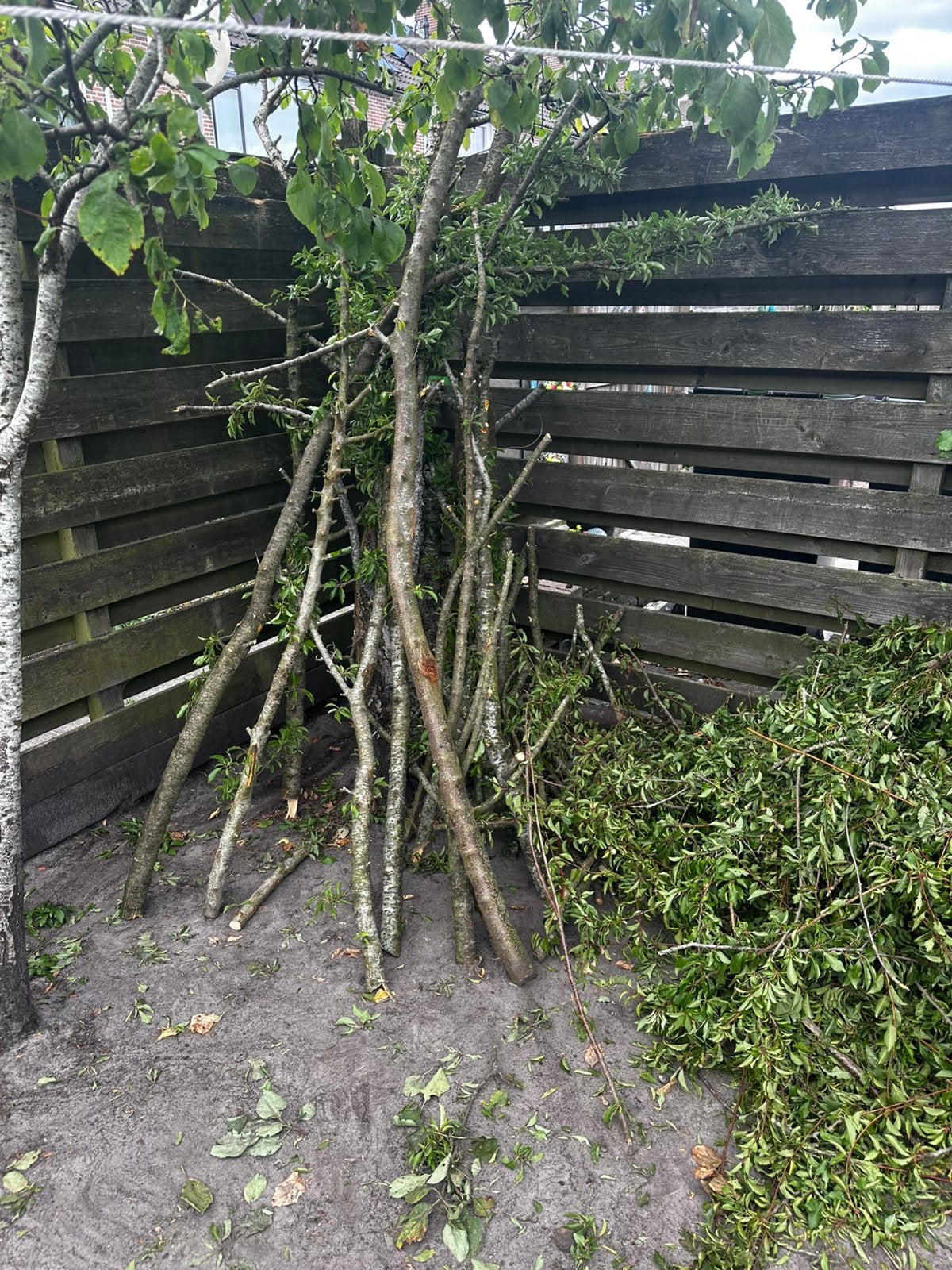 Gratis brand hout, Tuin en Terras, Minder dan 3 m³, Ophalen
