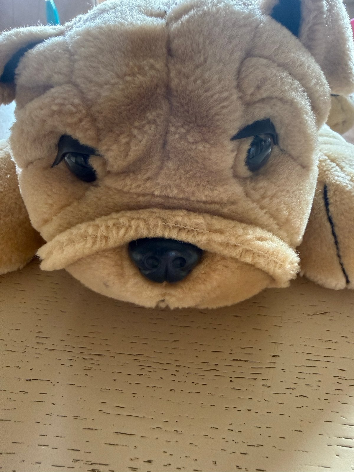 Schattige knuffel hond - Bulldog, Overige merken, Overige karakters, Zo goed als nieuw, Middelgroot (20 tot 80 cm)