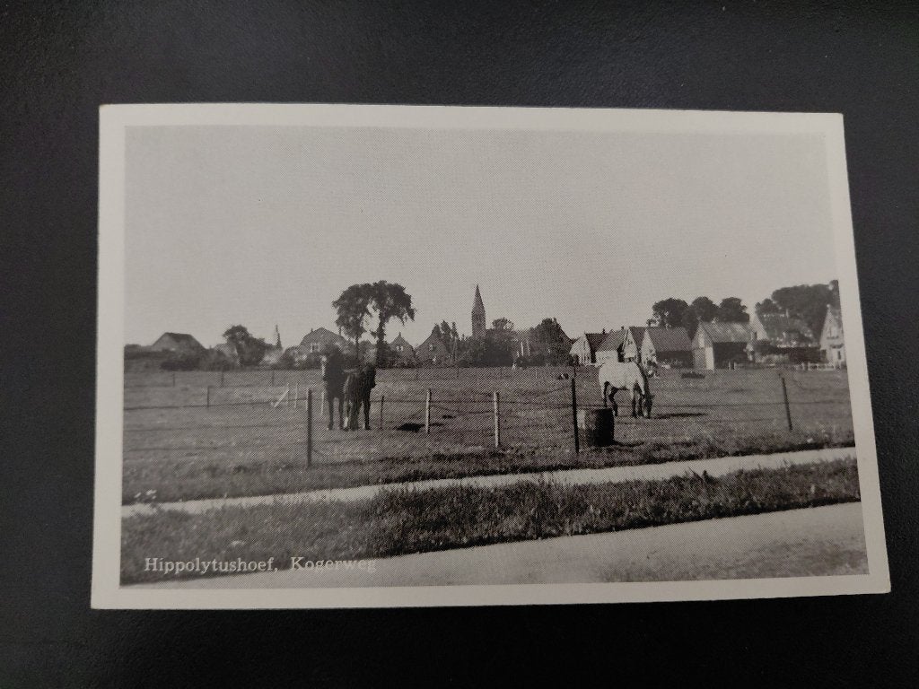 Hippolytushoef, Kogerweg, weiland met paarden, ongelopen,, Verzenden, 1940 tot 1960, Ongelopen, Noord-Holland