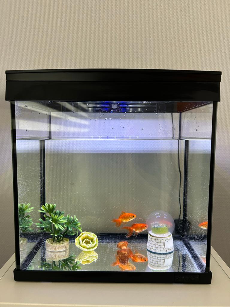 Aquaria en toebehoren, Ophalen of Verzenden, Leeg aquarium