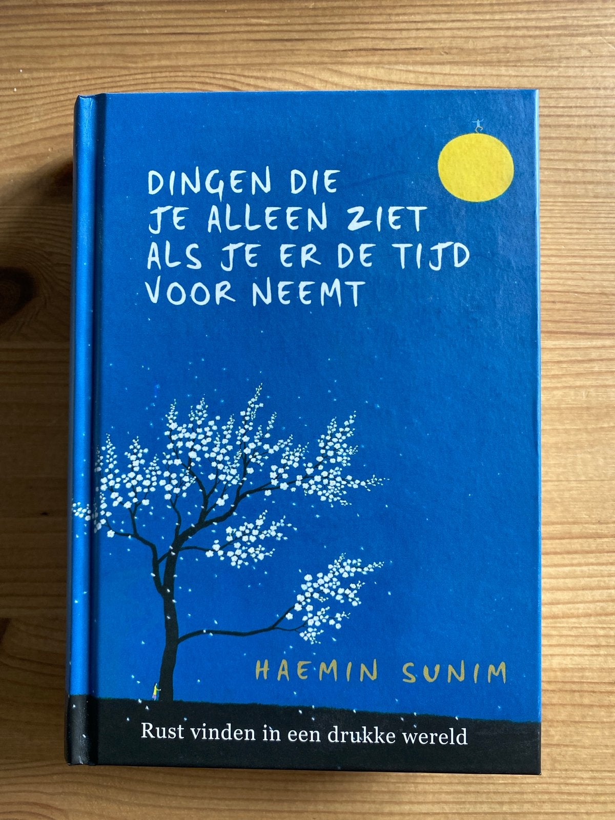 Dingen die je alleen ziet als je er de tijd voor neemt, Boeken, Esoterie en Spiritualiteit, Ophalen of Verzenden, Zo goed als nieuw