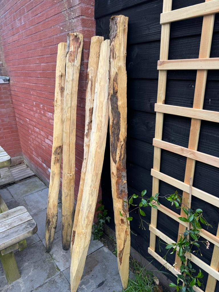 5 tuinpalen kastanje 160 cm, Tuin en Terras, Palen, Balken en Planken, Ophalen, Nieuw, Minder dan 180 cm, Palen