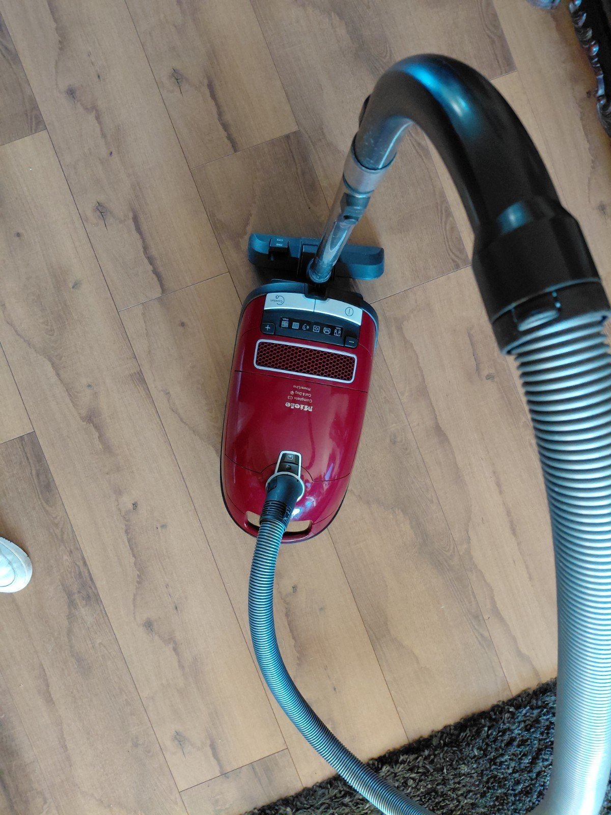 Miele cat en dog powerline stofzuiger, Witgoed en Apparatuur, Stofzuigers, Zo goed als nieuw, Miele, Minder dan 1200 watt, Ophalen