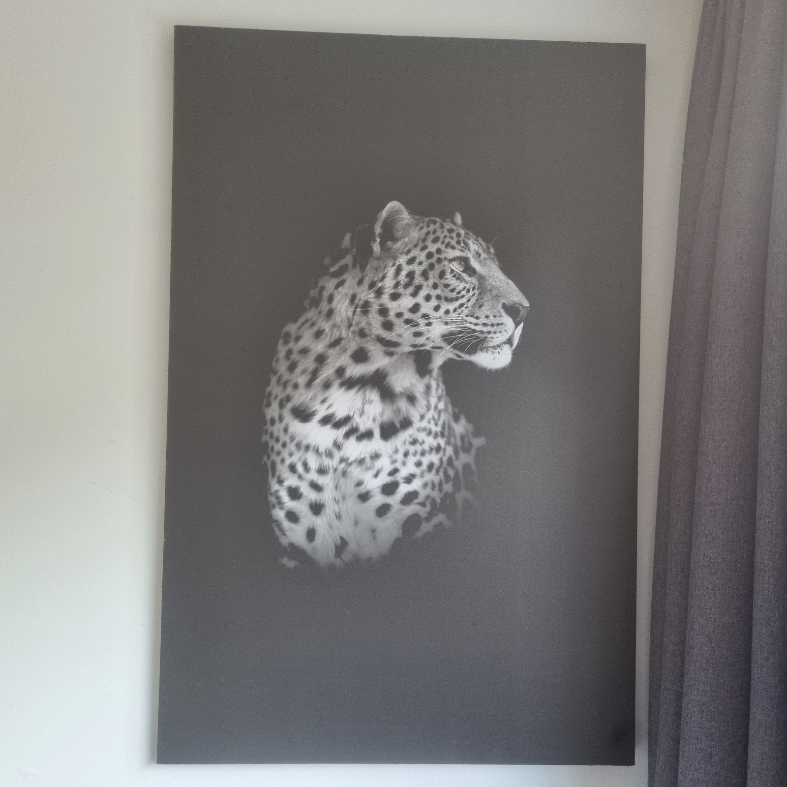 Schilderij tijger zwart, Ophalen, Zo goed als nieuw