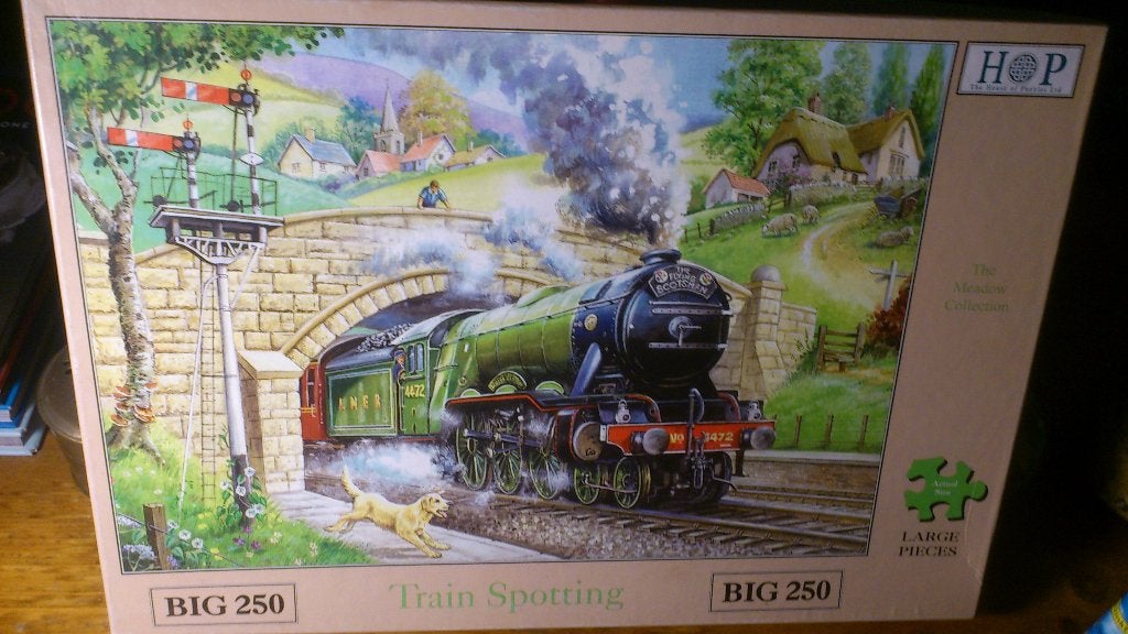 HOP Puzzel - Train Spotting - 250 XL stukjes - Compleet, Ophalen, Minder dan 500 stukjes, Gebruikt, Legpuzzel