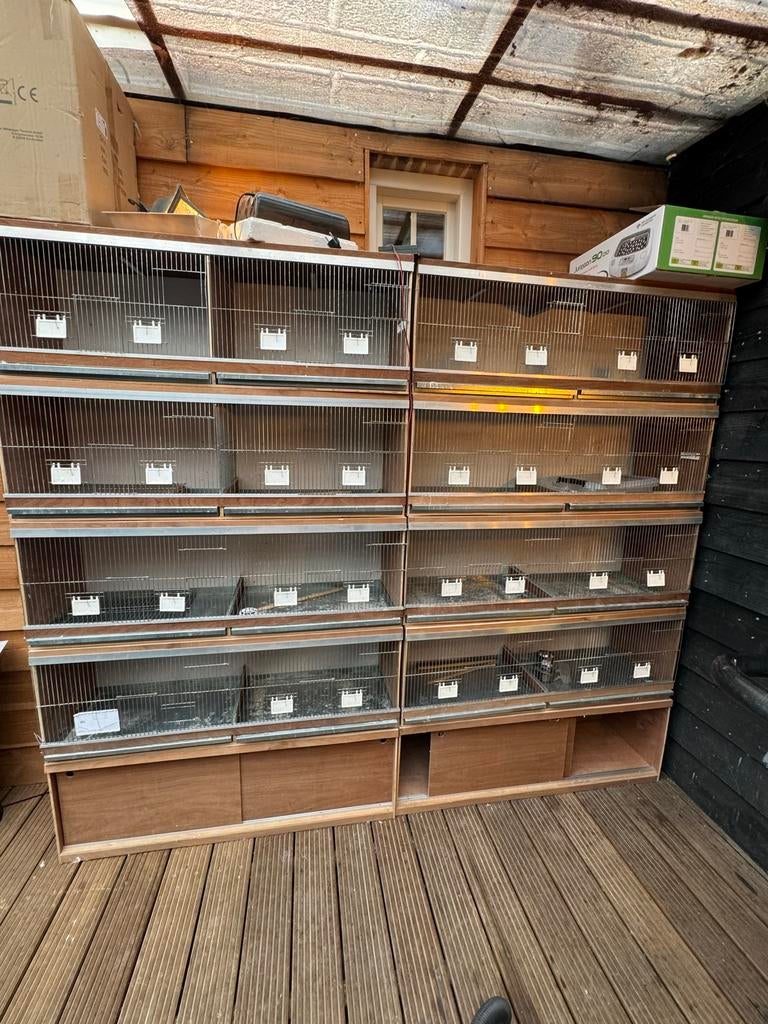 Broedhokken met vol automatische led verlichting, Dieren en Toebehoren, Vogels | Hokken en Kooien, Ophalen, Broedkooi of Kweekkooi