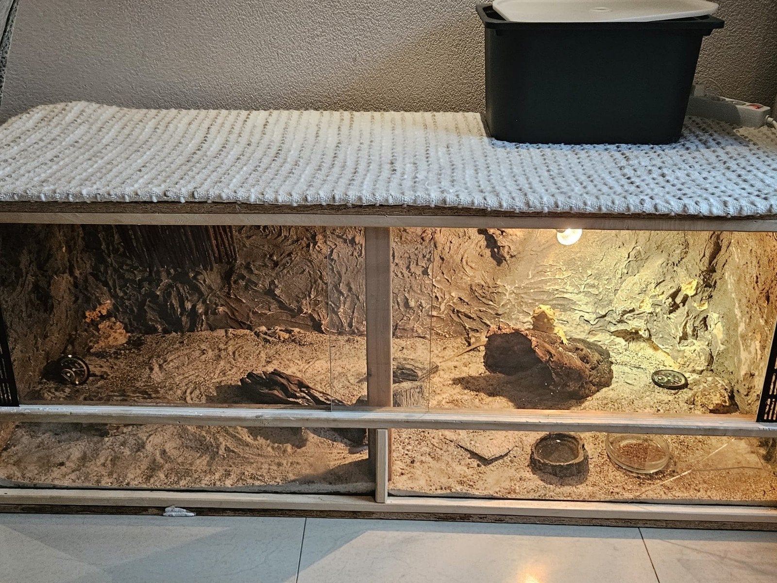 Baardagaam en terrarium, Dieren en Toebehoren, Knaagdieren en Konijnen | Hokken en Kooien, Minder dan 60 cm, Ophalen of Verzenden