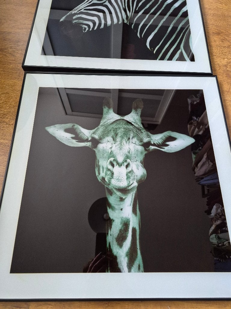Foto ingelijst, Ophalen