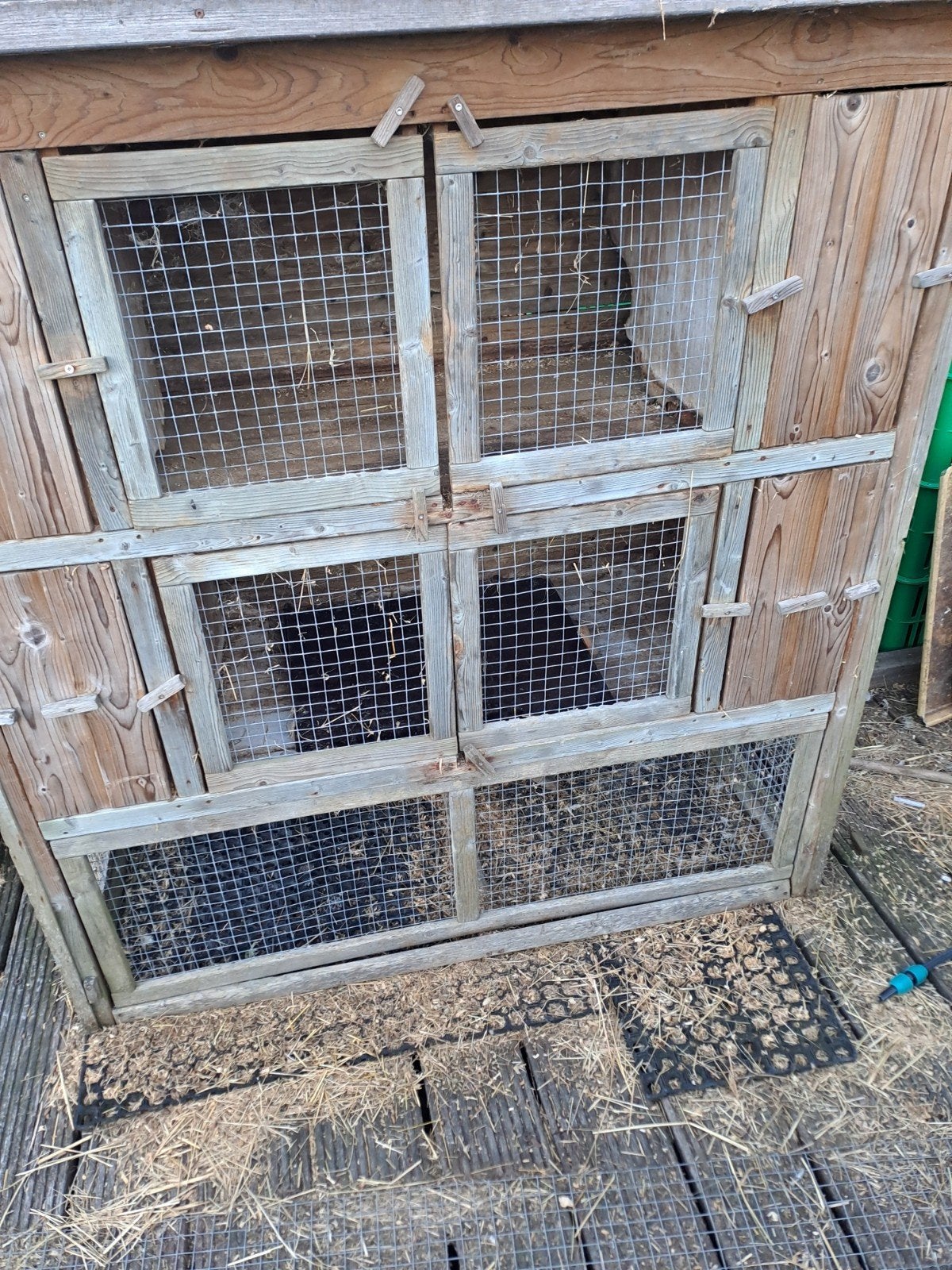 gebruikte konijnen flat, Ophalen of Verzenden, 90 cm of meer, Hok, Cavia