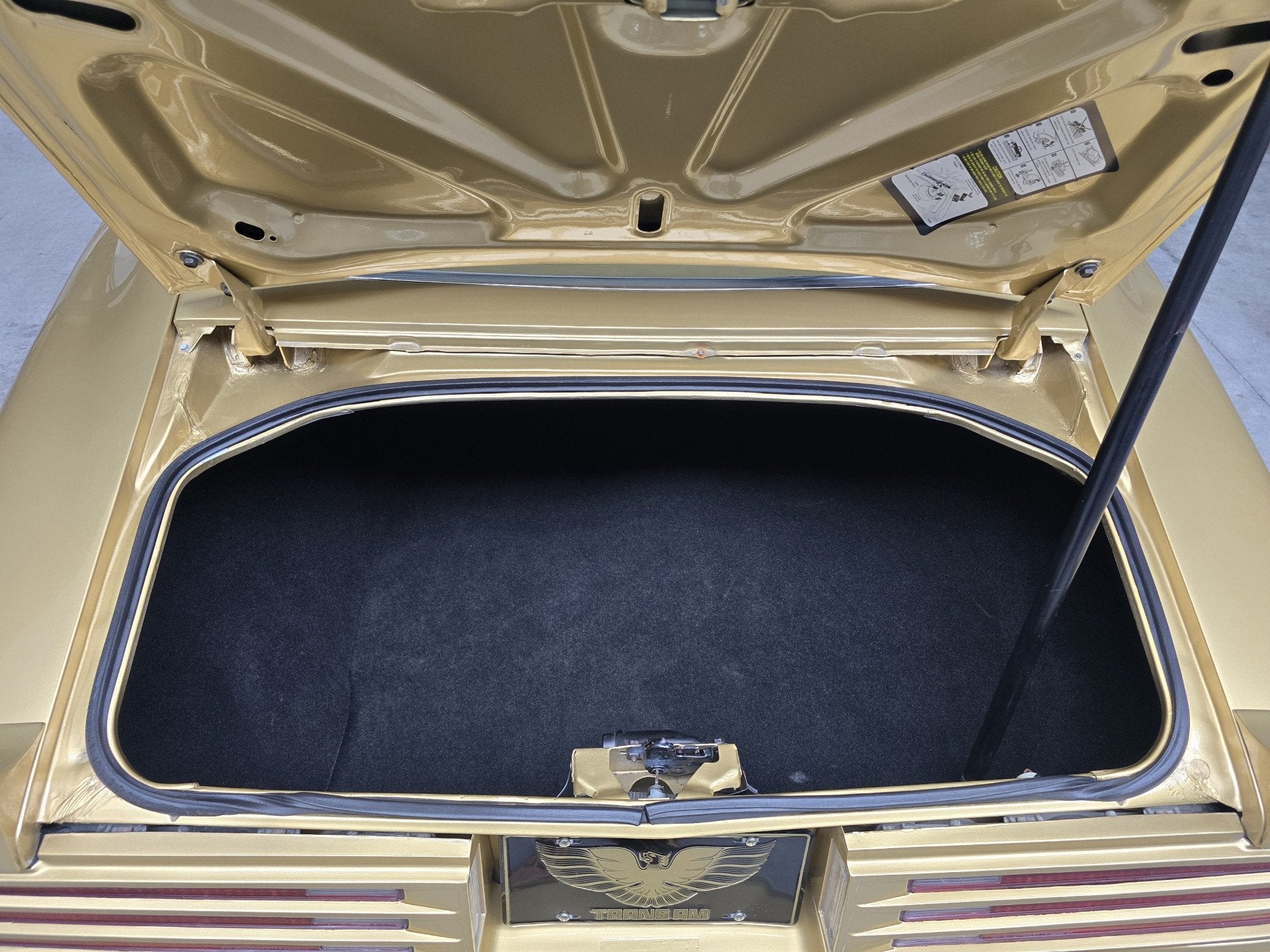 Pontiac Firebird Trans Am 6.6 FW 87 Y88 GOLD SPECIAL EDITION, foto 4