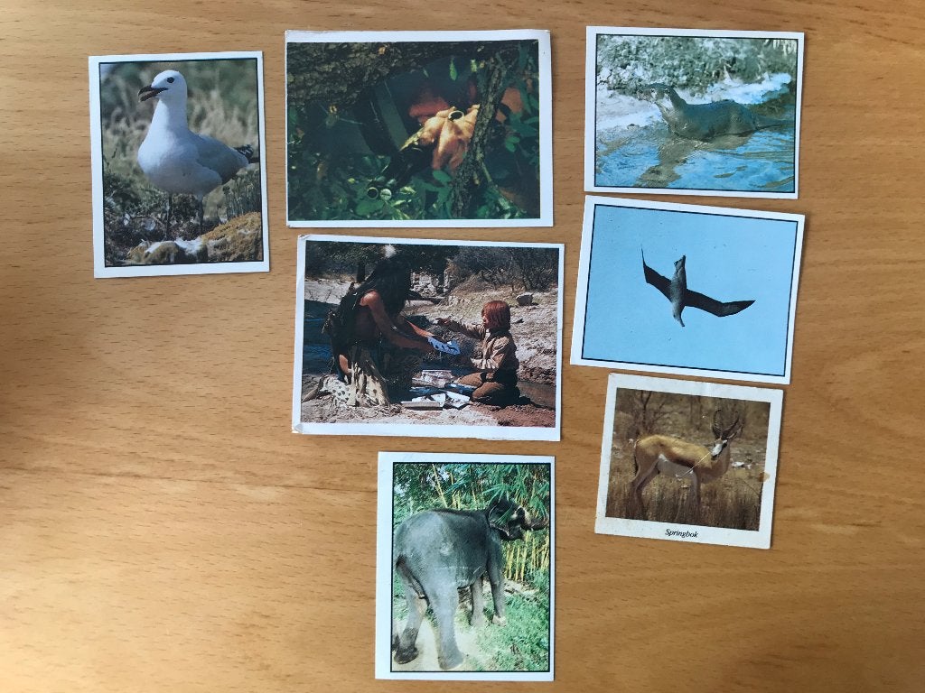 Vintage stickers van dieren en mensen, Verzamelen, Ophalen of Verzenden, Gebruikt, Dier en Natuur