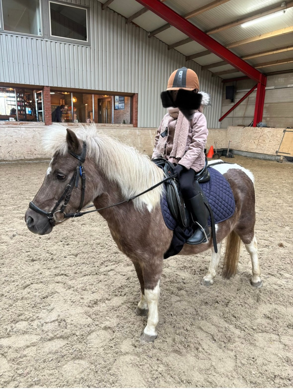 Gezocht! verzorgpony/paard, Ophalen, Recreatie