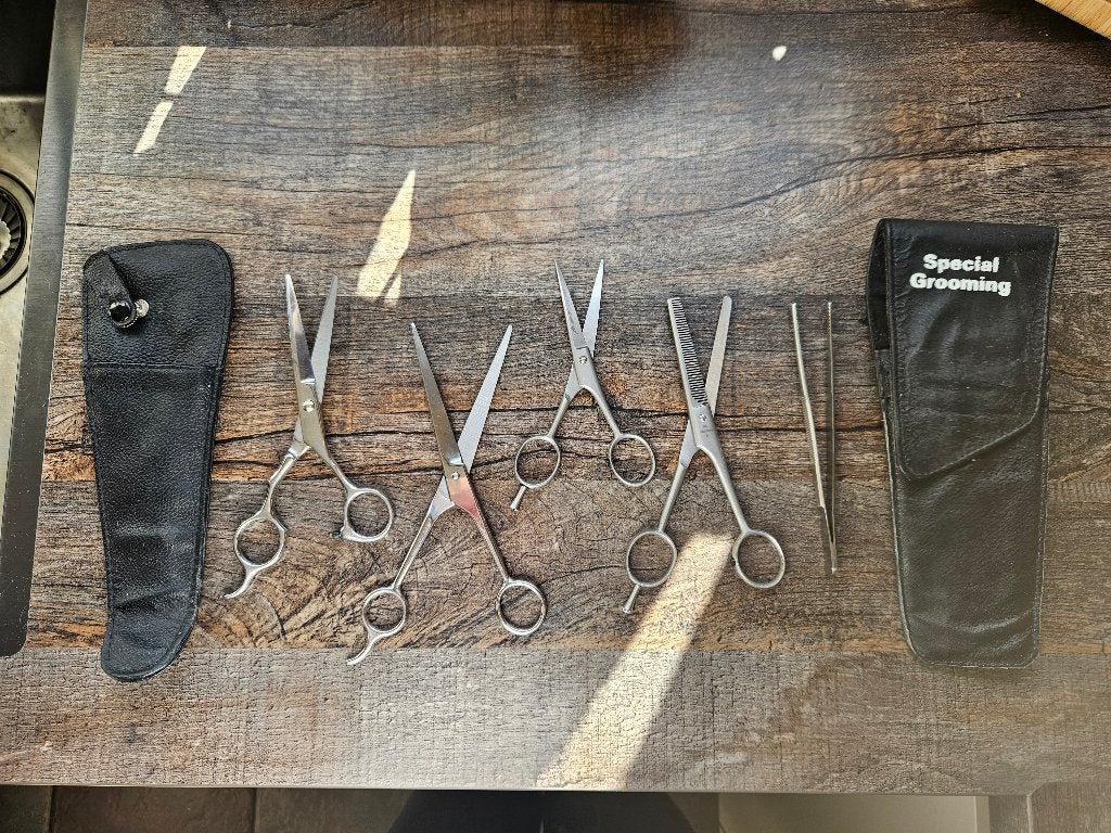 Te koop honden scharen, Dieren en Toebehoren, Honden-accessoires, Ophalen of Verzenden, Nieuw