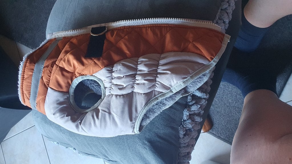 Teckel jasje maat M, Ophalen of Verzenden, Zo goed als nieuw, Hondenjas, M