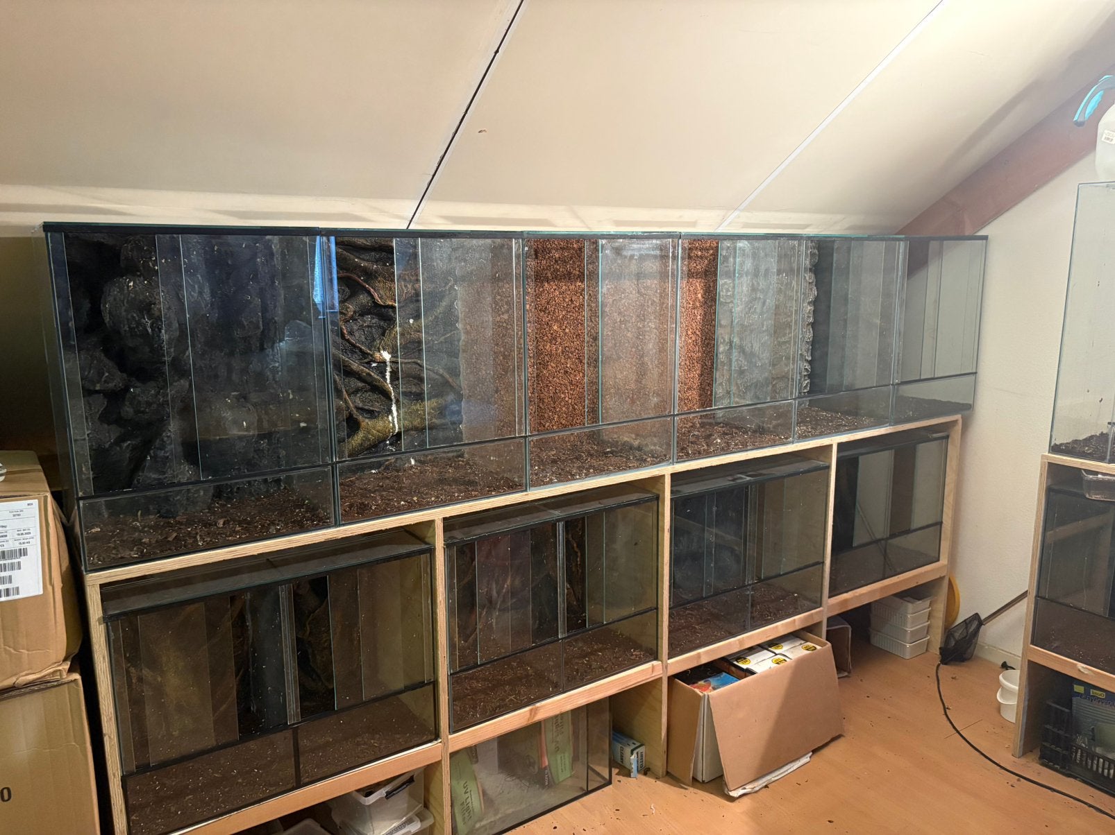 Terrariums verschillende maten met 3D achterwanden, Ophalen, Zo goed als nieuw