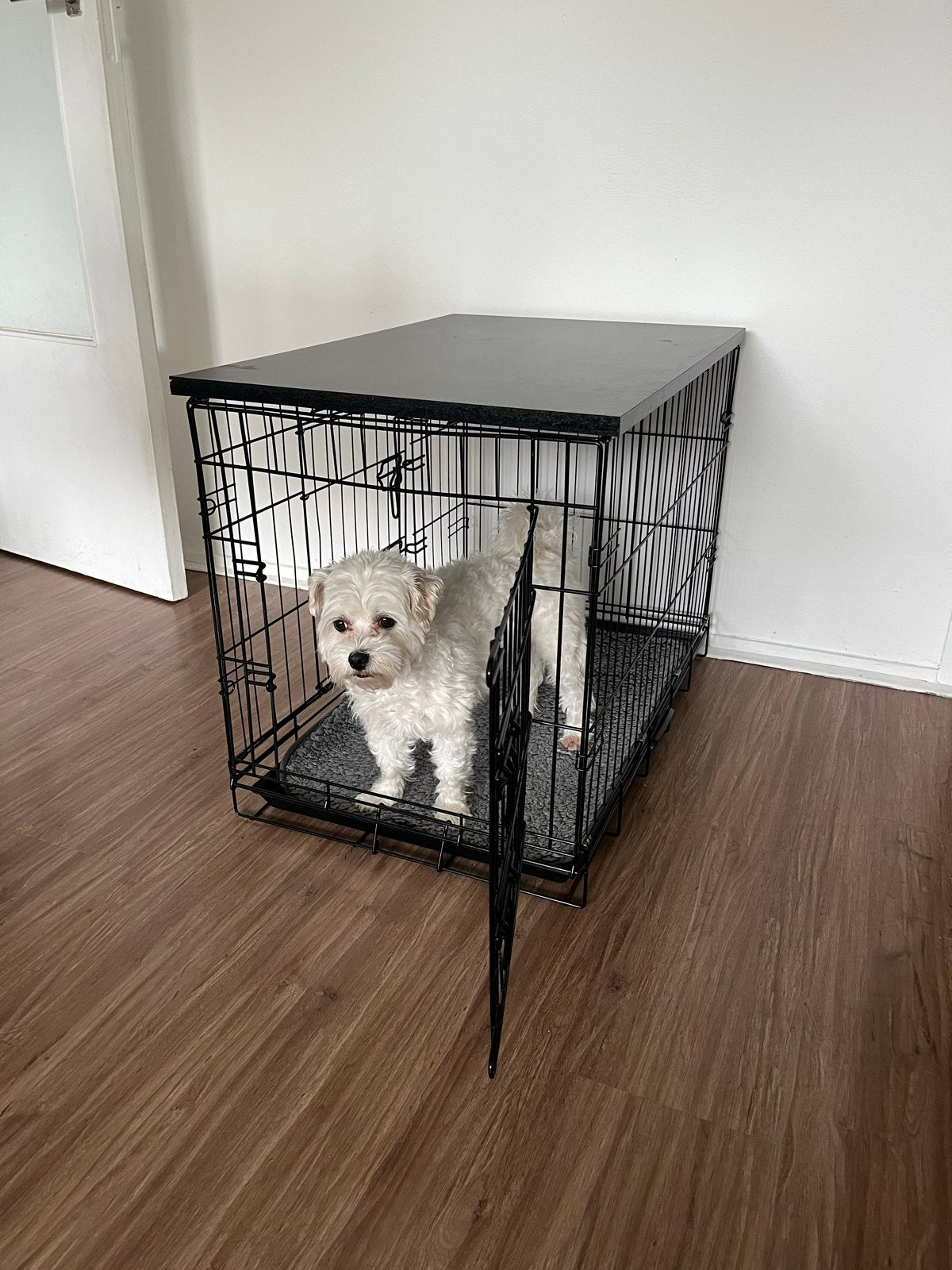 Grote honden bench met plank, Dieren en Toebehoren, Ophalen