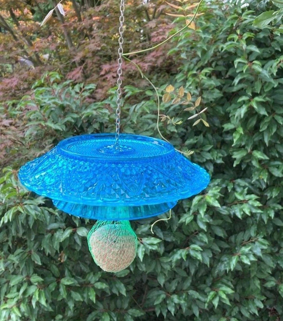 Vogel schaal . Voor vetbol, Ophalen