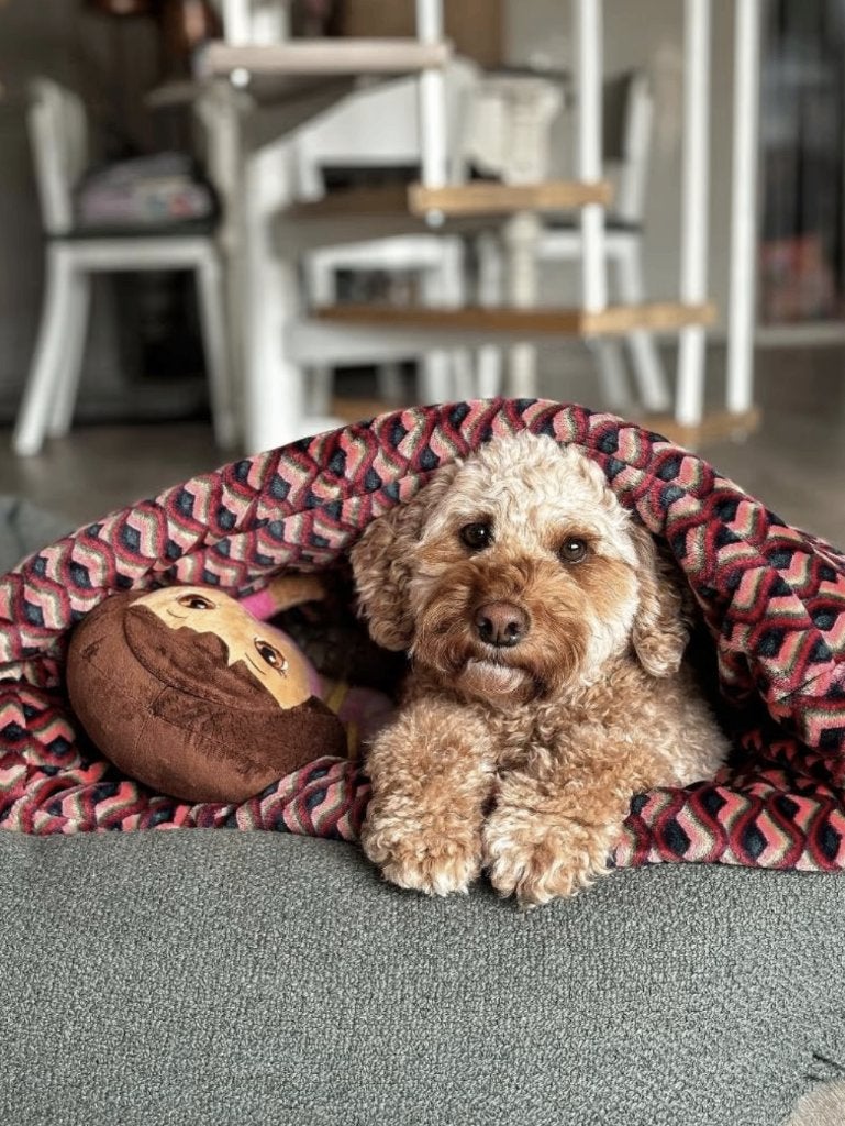 Slaapzak hond puppy hondenmand hondenkussen mand kussen, Dieren en Toebehoren, Ophalen of Verzenden, Nieuw, Overige
