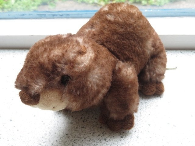 Zacht velours bever of otter van PIA International Soft Toys, Kinderen en Baby's, Ophalen of Verzenden, Zo goed als nieuw, Middelgroot (20 tot 80 cm)