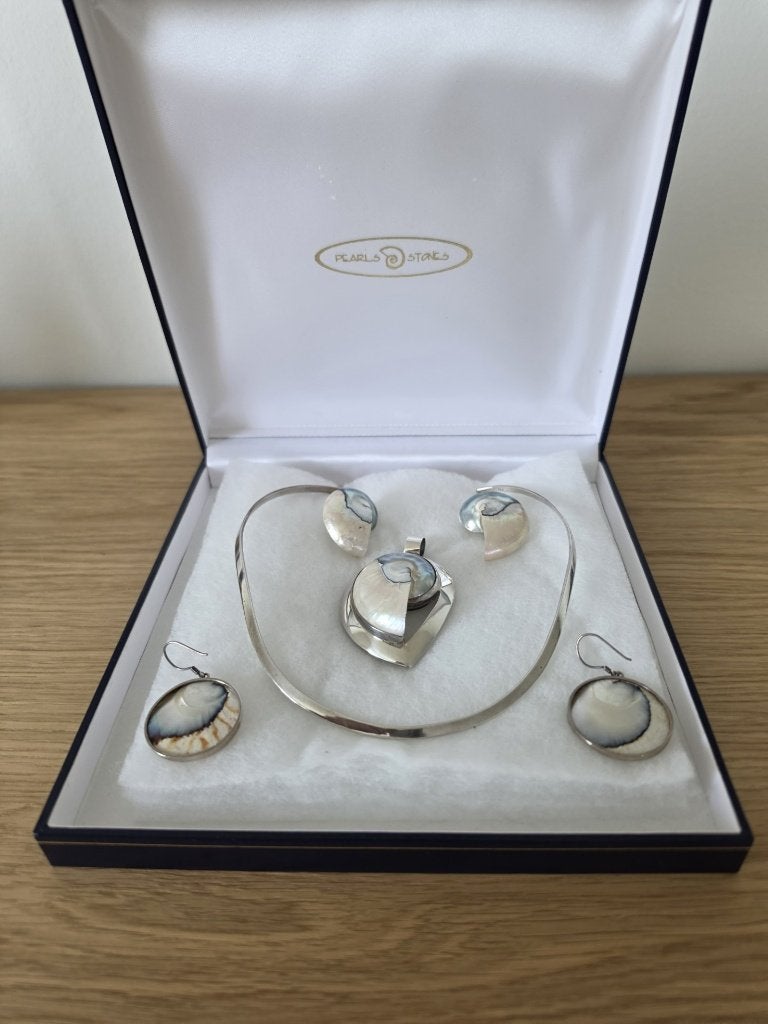 Zilveren spang met ammoniet in zilverenkast en oorbellen, Sieraden, Tassen en Uiterlijk, Met hanger, Ophalen of Verzenden, Zo goed als nieuw