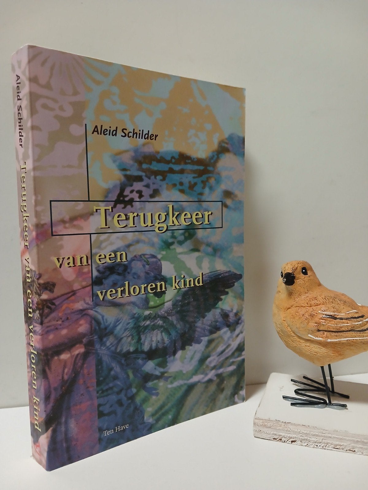 Schilder, Aleid; Terugkeer van een verloren kind, Boeken, Ophalen of Verzenden, Gelezen