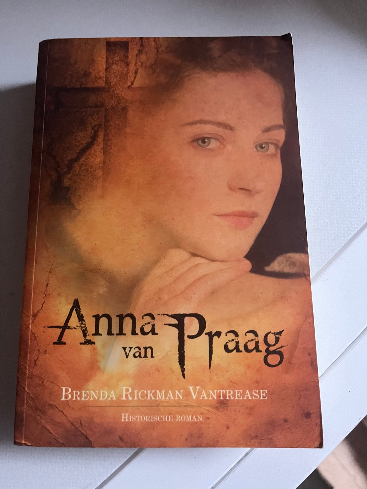 Anna van Praag - Brenda Rickman Vantrease (Historische Roman, Boeken, Historische romans, Gelezen, Ophalen of Verzenden
