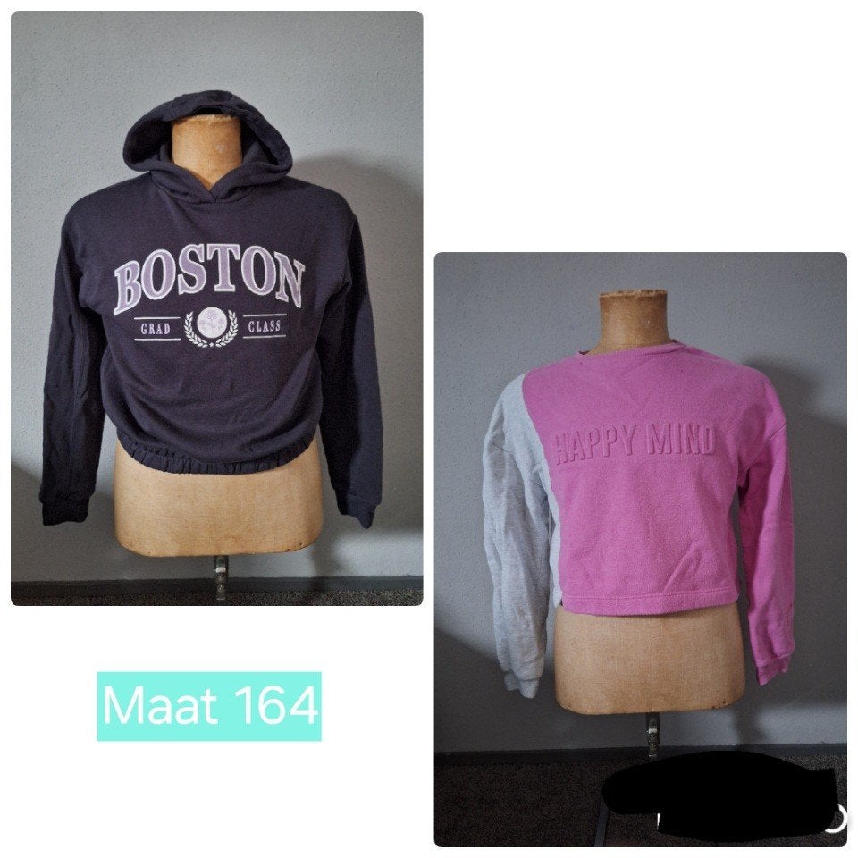 Set van 2 truien: Primark roze 'Happy Mind' & Boston hoodie, Gebruikt, Meisje, Ophalen of Verzenden, Setje