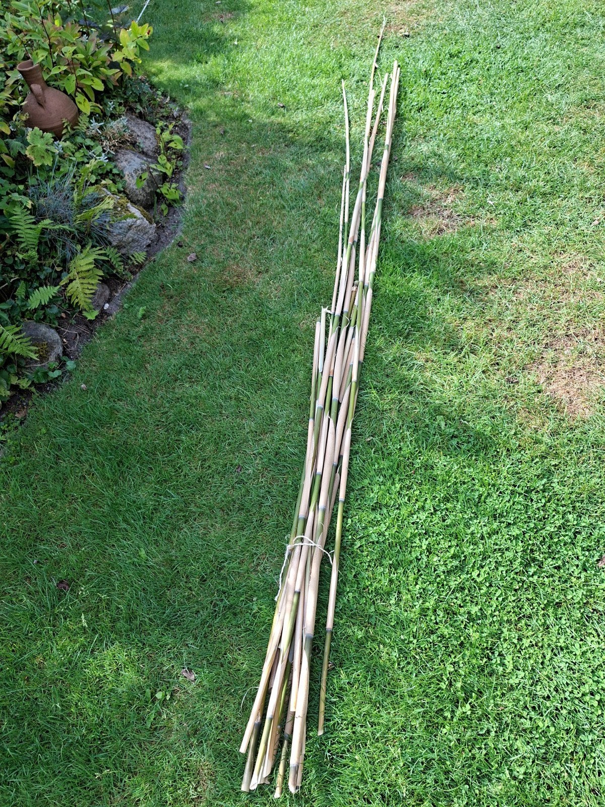 mooie bamboe stokken, Tuin en Terras, Ophalen