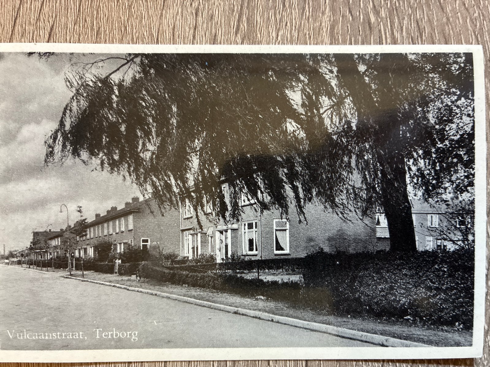 Oude ansichtkaart Vulcaanstraat, Terborg - Terborg's Warenhu, Ophalen of Verzenden, Voor 1920, Gelopen, Gelderland