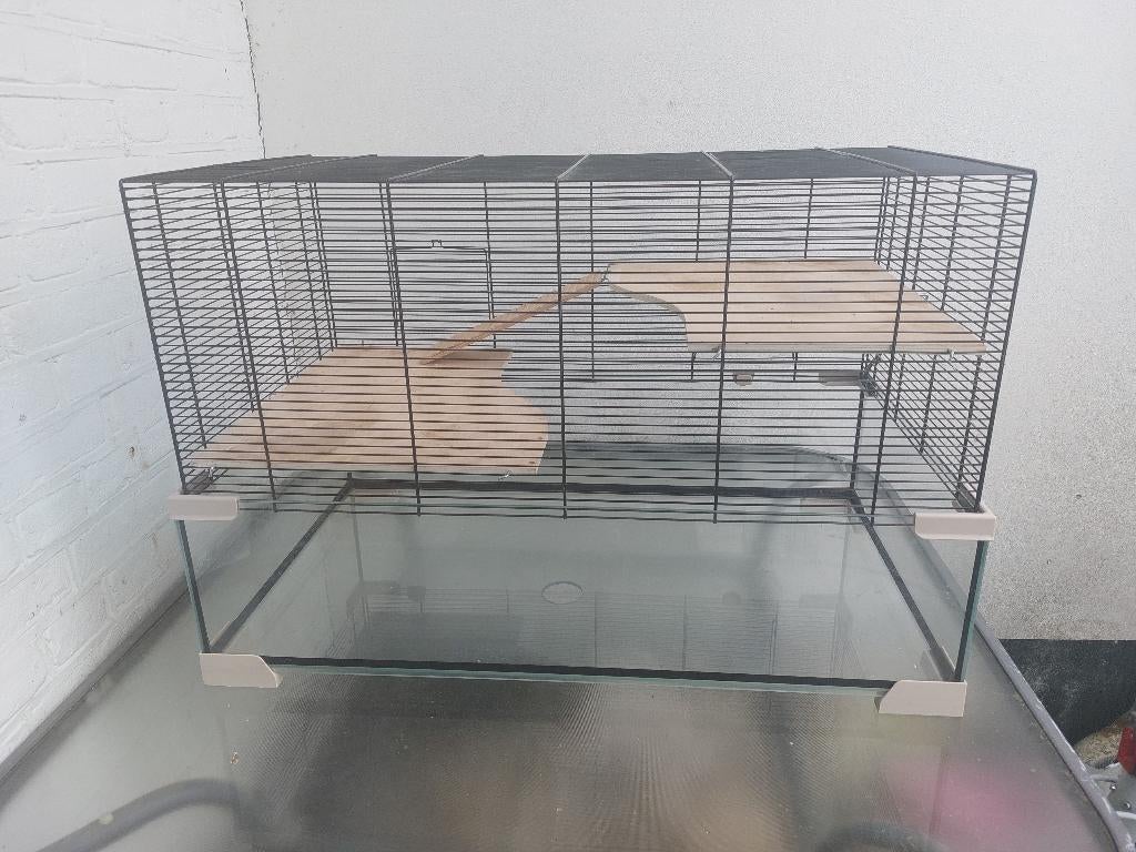 groot hamster of cavia hok, Gebruikt, Muis, Hok, 75 tot 110 cm