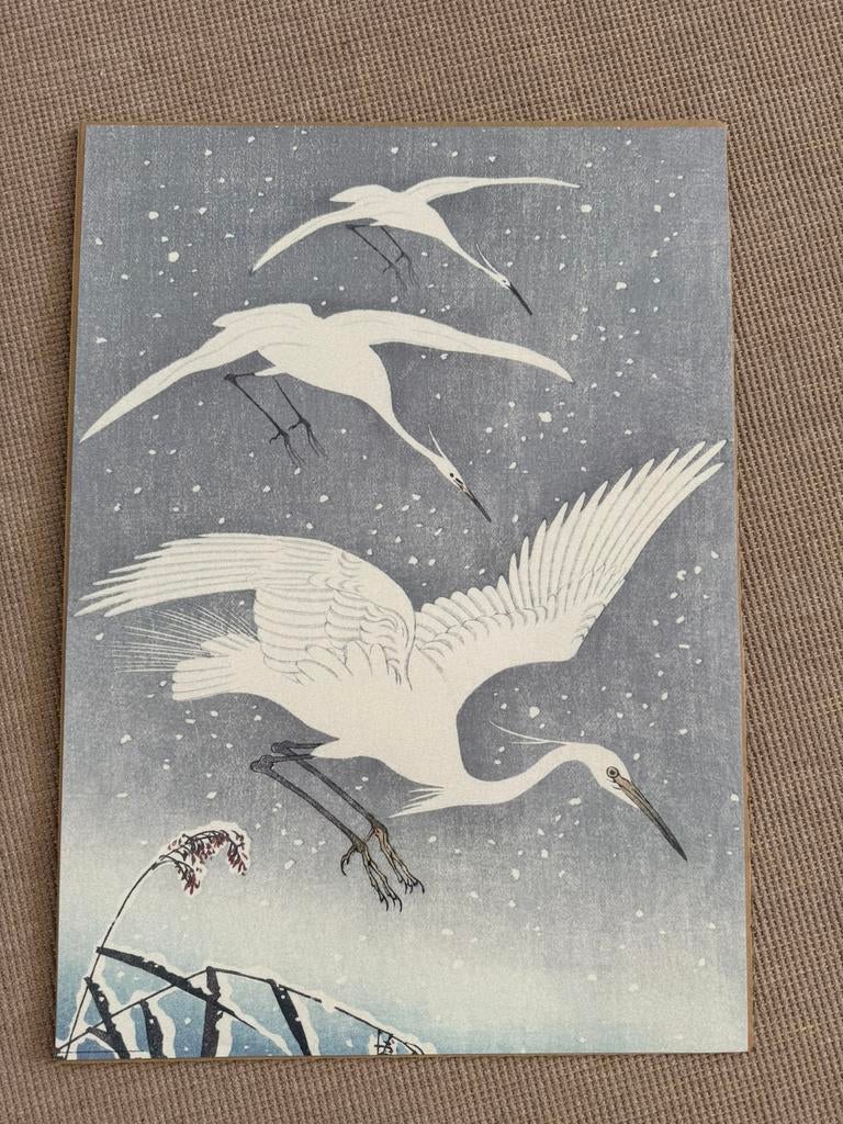 IKEA poster ‘Landing’, Ophalen of Verzenden, Nieuw, A1 t/m A3, Dier of Natuur