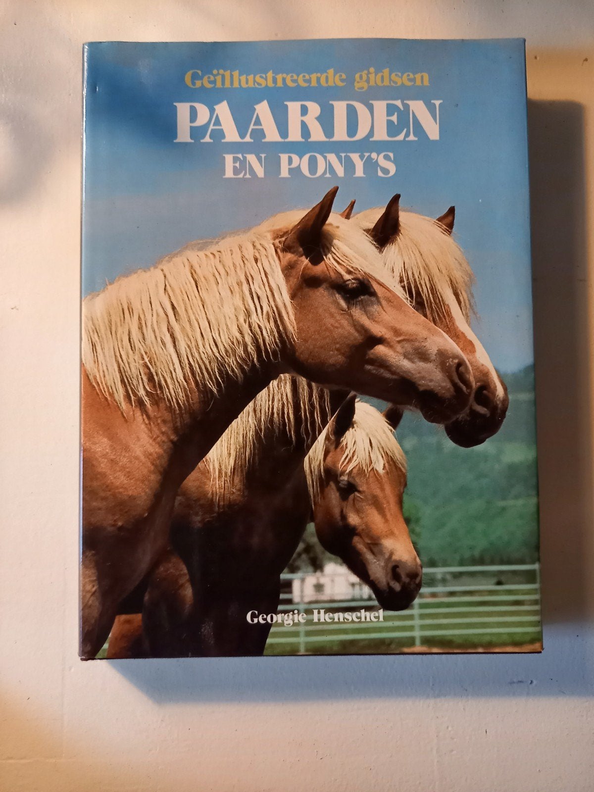 h30 Geïllustreerde gids Paarden en Pony's Georgie Henschel, Ophalen of Verzenden, Gelezen, Paarden of Pony's, Georgie Henschel