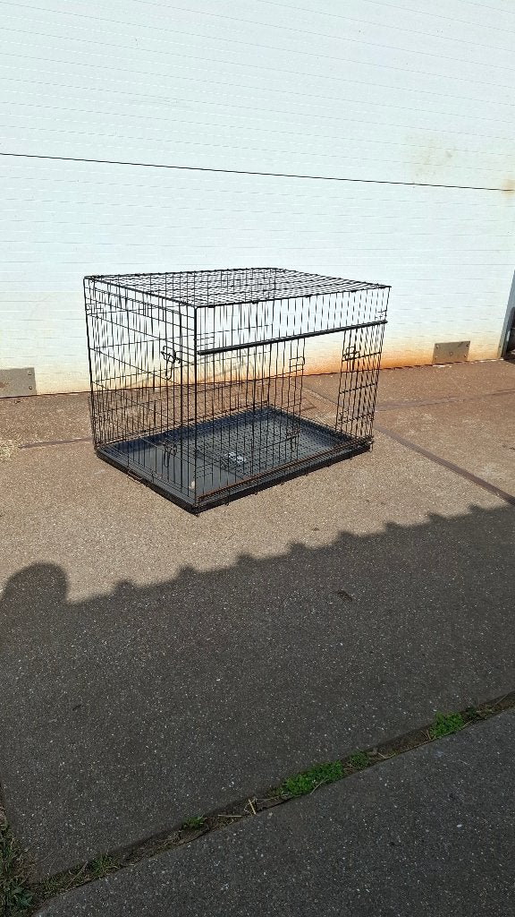 Bench voor grote hond of ander dier, Dieren en Toebehoren, Ophalen, Gebruikt, Postbus 1, Jan de hond