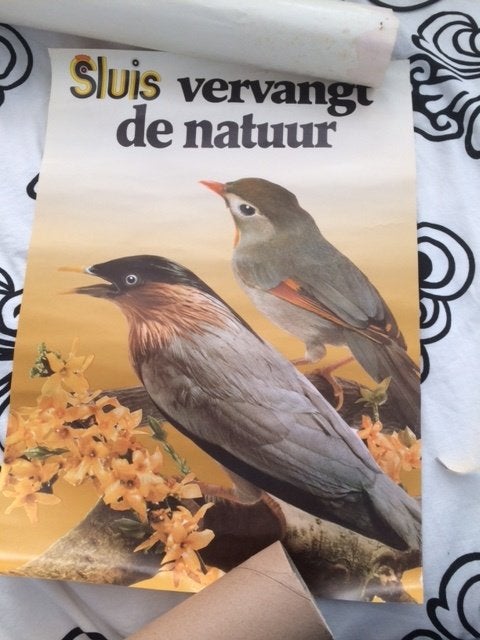 reclame poster Sluis..vervangt de natuur 2 vogels jr 70 80, Verzamelen, Posters, Ophalen of Verzenden, Gebruikt, A1 t/m A3, Film en Tv