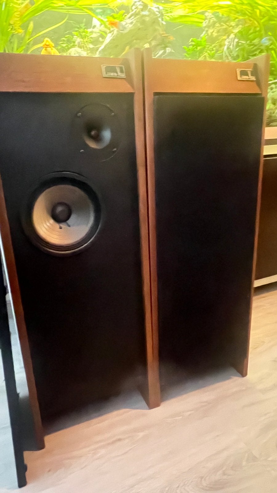 Cerwin-Vega 12T Vloerstaande Luidsprekers - Vintage Geluid, Gebruikt, 120 watt of meer, Front, Rear of Stereo speakers, Ophalen