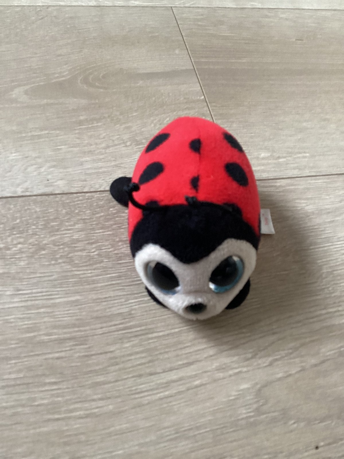 Ty knuffel lieveheersbeestje nieuwstaat, Ophalen of Verzenden, Zo goed als nieuw, Overige typen