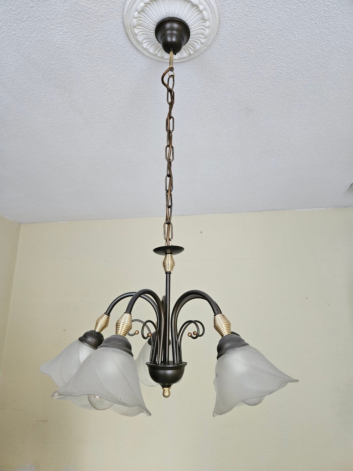 Klassieke hanglamp met 5 glazen kappen - 76 cm, Huis en Inrichting, Ophalen, Gebruikt, Klassiek, E27 (groot)